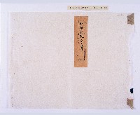 藏品(潘兆敏（士興）流年簿（五年）)的圖片